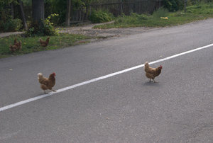 Hens Crossing Street
