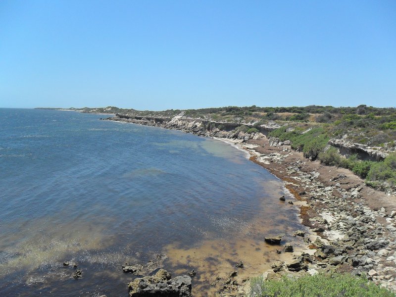 New Ocean Route..stromatolites in the bay