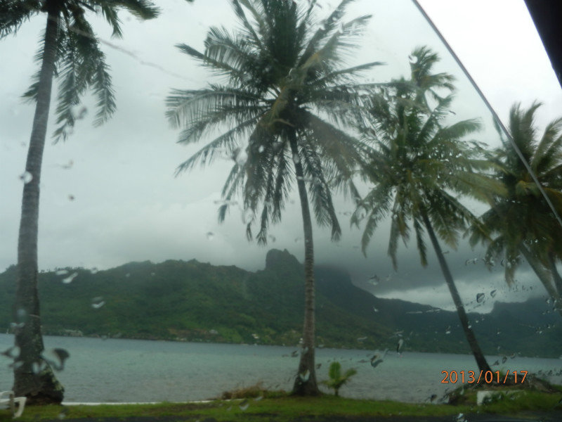 Moorea..Palms and Storms