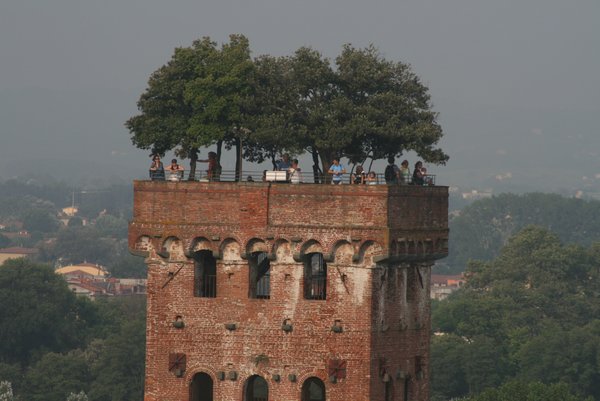 Lucca - the tower with the garden on top