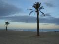...though we didn't expect palms here (it was the Med coast after all!)