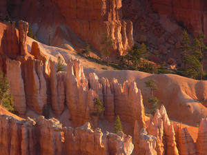 Bryce Canyon detail