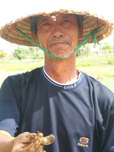 Authentic farmer at the organic farm, Hoi An