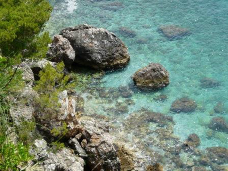 Clear waters of the Adriatic