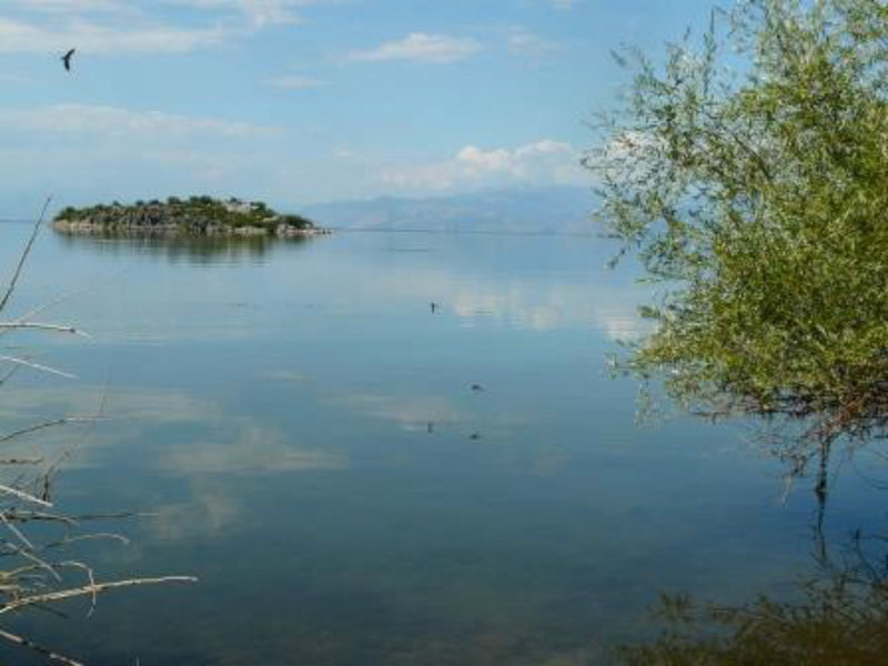Murici, Skadar Lake