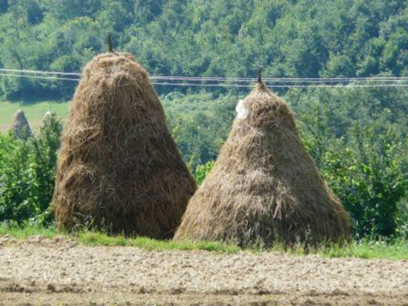 Husband and Wife Haystack