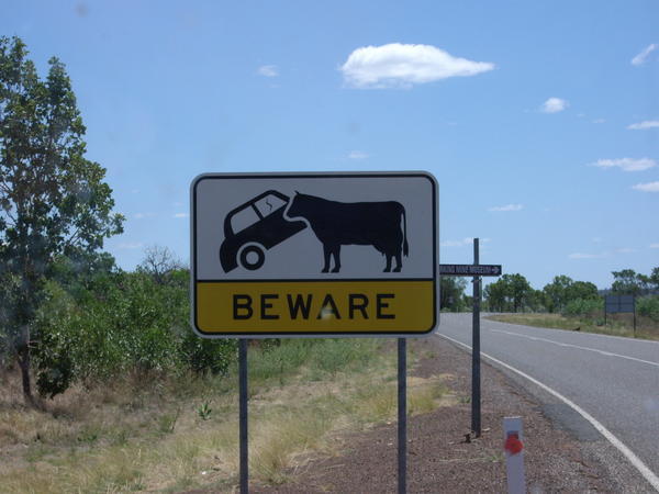 Warning to cars!