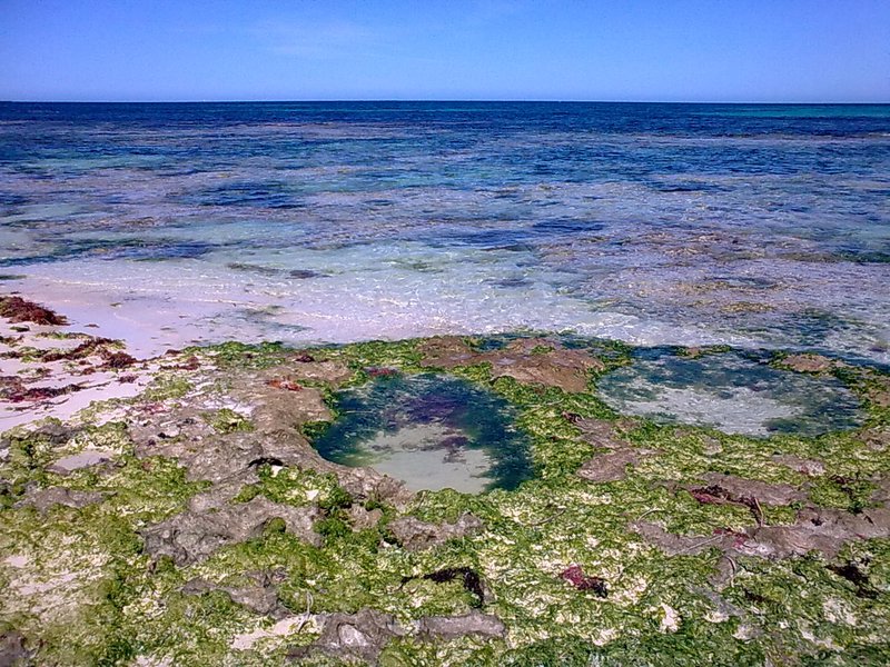 Geraldton Rock Pool