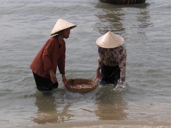 Gathering crabs in the Fishing Village