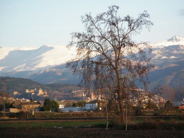 24.12.10 - Granada