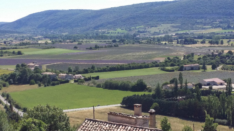 30.6.14 Sault - view from village of lavender fields (2)