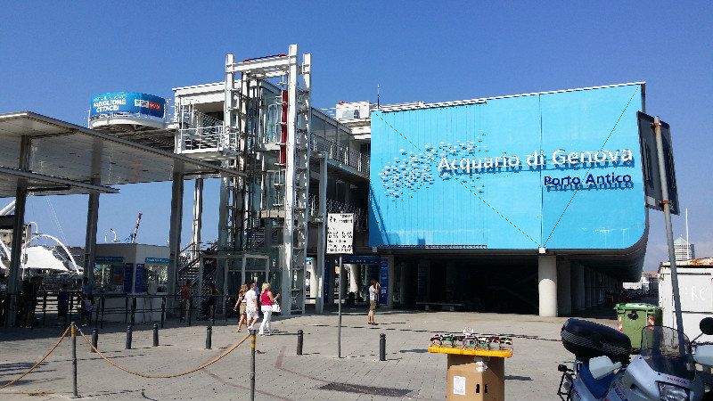 5.8.14 Genova. Aquarium. One of the 10th largest aquariums in the world