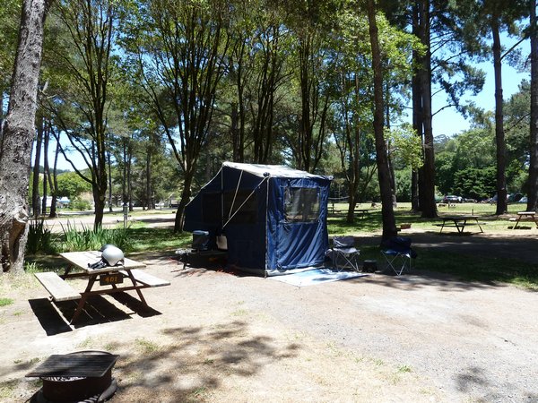 Our Campsite at Olema
