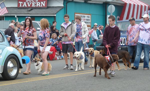 Dogs in the parade