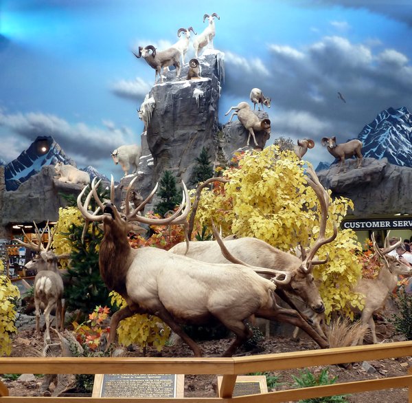 Huge stuffed display in the middle of Cabela's