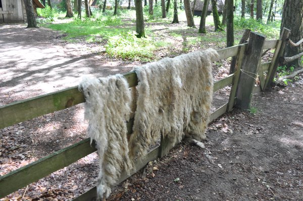 Drying wool?