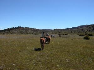 Horseriding in Bariloche
