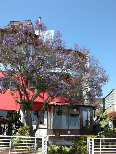 Pablo Neruda's house, Valparaiso