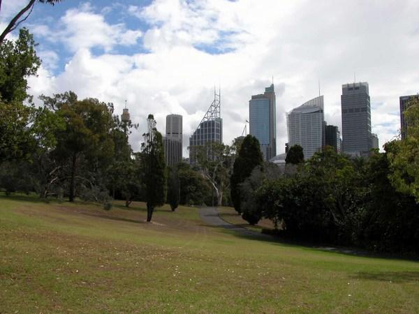 Sydney skyline, taken from the Botanical Gardens