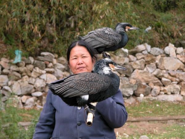 Lady with Cormorants - Yangshuo