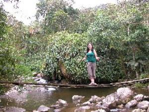 Me on the 'Tarzan bridge'