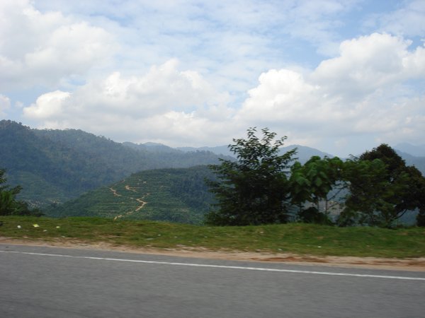on the way to Cameron Highlands