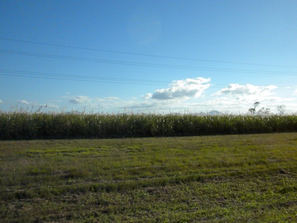 Instead of corn fields, there are sugar cane fields.