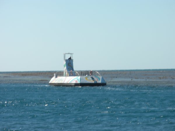The sub traveling along the side of the reef.