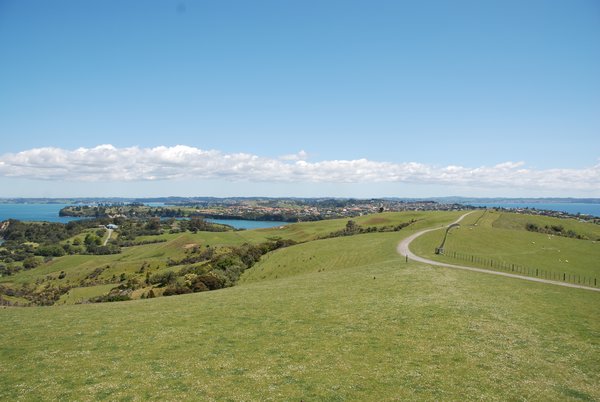Walk up to Shakespear park while in Auckland