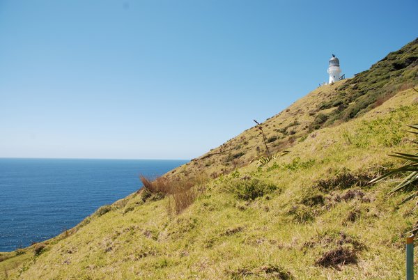Lighthouse at Cape Brett
