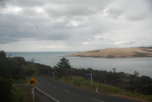 View from the top of the hokianga