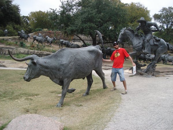 Dallas - some bull statues