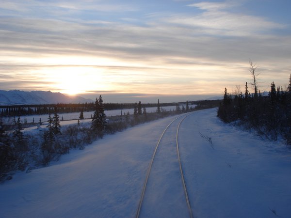 Train from Anchorage to Fairbanks