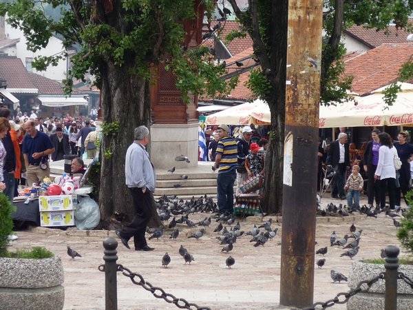 More Sarajevo