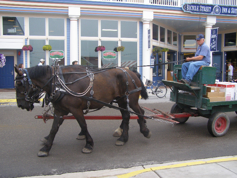 Typical Delivery wagon on Mackinac Island