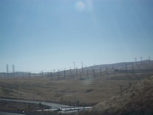 Windmills generating electricity as we were driving into San Francisco - my goodness it was windy