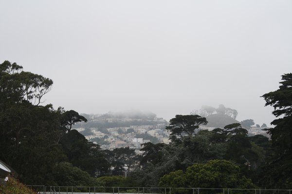 View through the fog