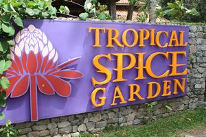 Tropical spice garden