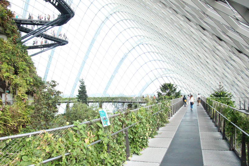 Gardens by the Bay - Cloud Dome