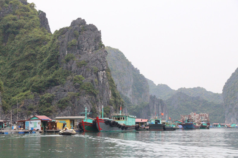 local floating fishing Village just off Cat ba Island