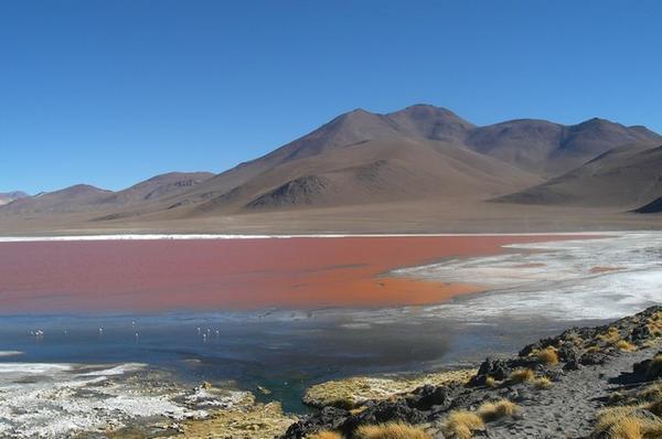 Red lagoon