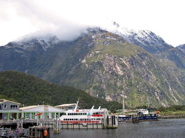 Milford Sound harbour