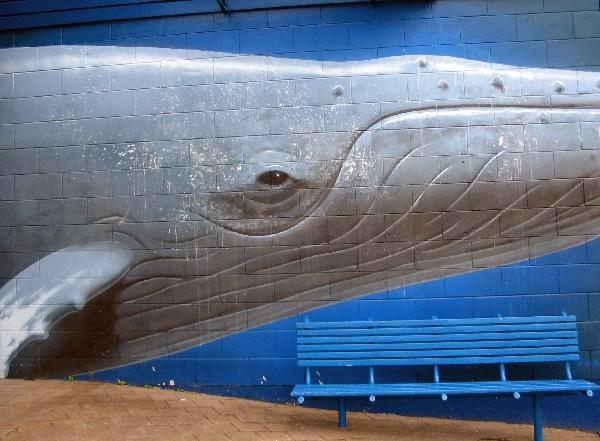 Whale mural, Kaikora