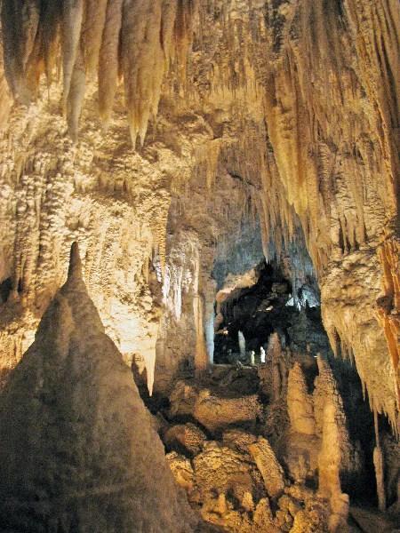 Waitomo cave 3