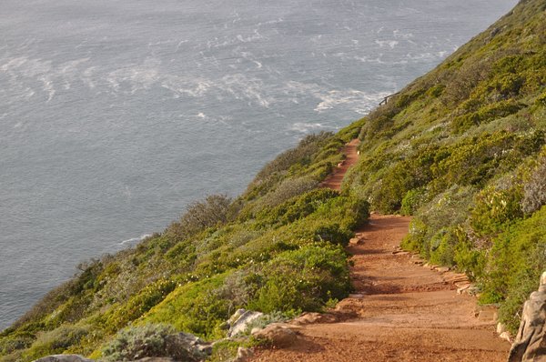 Trail to Cape Point