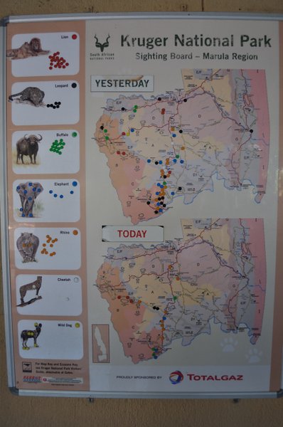 09- Map showing where animals were spotted the day before and today