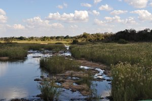 24- Kruger River
