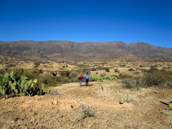 Tarija landscape
