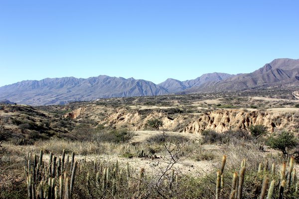 Tarija landscape 2