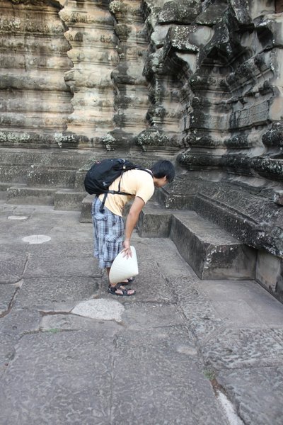 Binns more interested in an extensive trail of ants carrying objects then the temples
